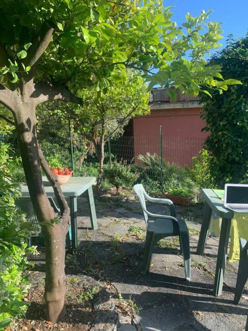 Apartmán Cozy Beach House With Nice Garden, Basic Feel Bonassola Exteriér fotografie