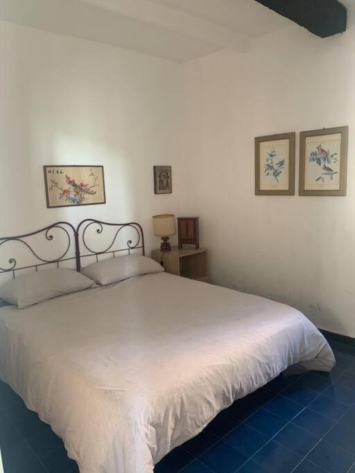 Apartmán Cozy Beach House With Nice Garden, Basic Feel Bonassola Exteriér fotografie